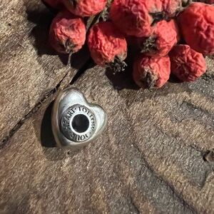 Authentic Pandora Essence Charm Follow Your Heart Silver Charm Bead Love Spacer